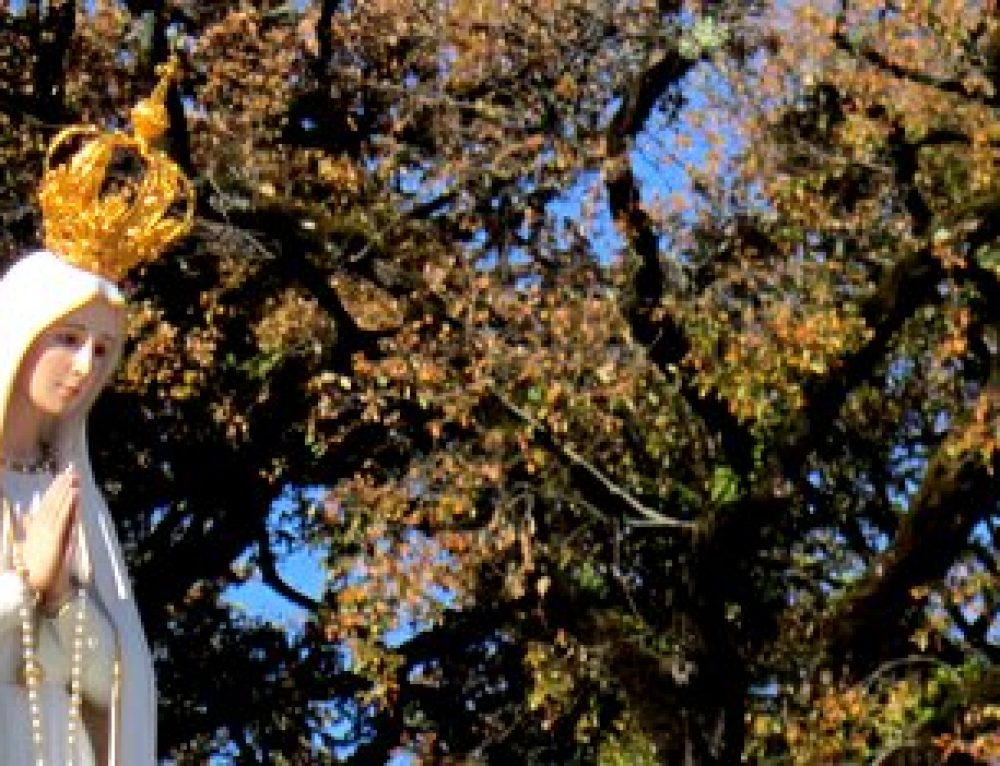 NotreDame de tous les Peuples, Amsterdam 19451959 à Ida Peerdeman