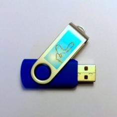 Clé usb avec enseignements, exhortations du Festival Marial 2017